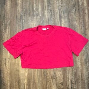 Aritizia Babaton Pegasus Waist Tee